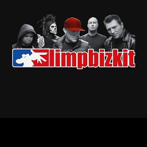 artwork Offical limpbizkit Merch