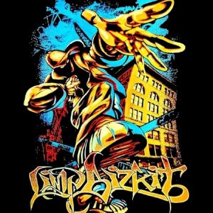 artwork Offical limpbizkit Merch
