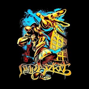 artwork Offical limpbizkit Merch