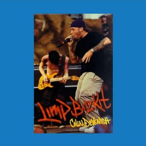 artwork Offical limpbizkit Merch