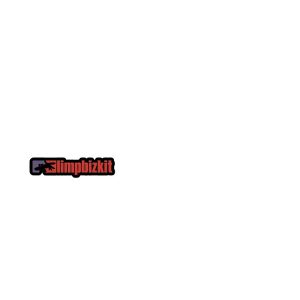 artwork Offical limpbizkit Merch