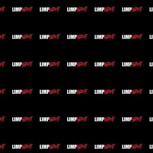 artwork Offical limpbizkit Merch