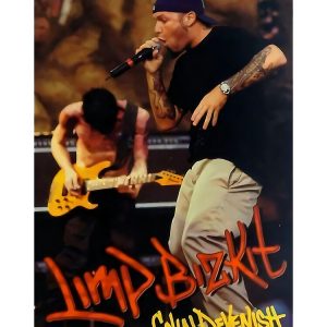 artwork Offical limpbizkit Merch