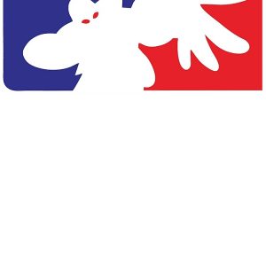 artwork Offical limpbizkit Merch