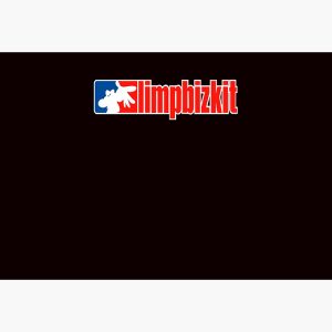artwork Offical limpbizkit Merch