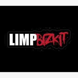 artwork Offical limpbizkit Merch
