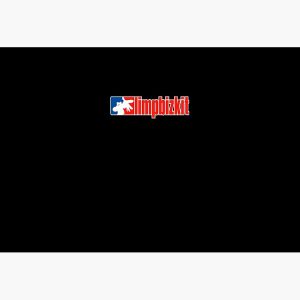 artwork Offical limpbizkit Merch