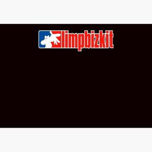 artwork Offical limpbizkit Merch