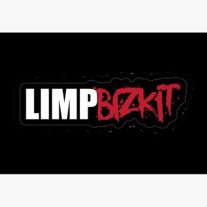artwork Offical limpbizkit Merch
