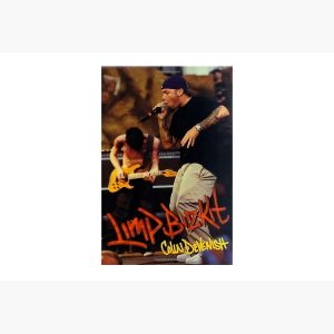 artwork Offical limpbizkit Merch