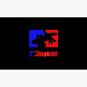 artwork Offical limpbizkit Merch