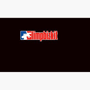 artwork Offical limpbizkit Merch