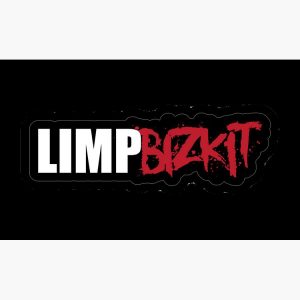 artwork Offical limpbizkit Merch