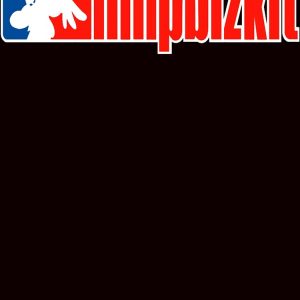 artwork Offical limpbizkit Merch