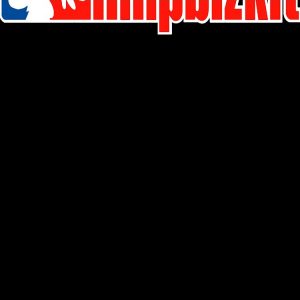 artwork Offical limpbizkit Merch