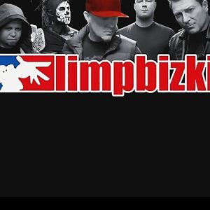 artwork Offical limpbizkit Merch