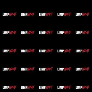 artwork Offical limpbizkit Merch