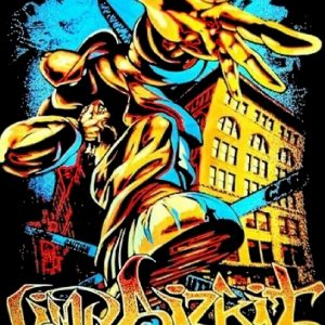 artwork Offical limpbizkit Merch