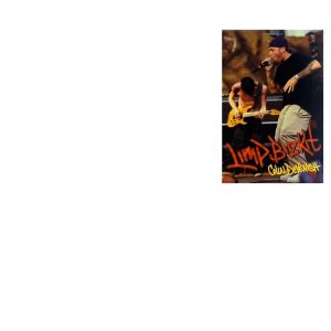 artwork Offical limpbizkit Merch