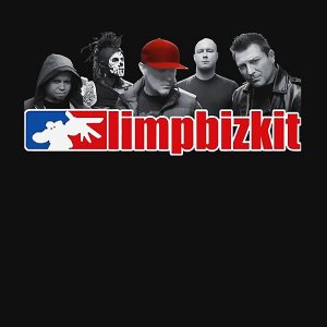 Artwork Limpbizkit Pullover Hoodie RB1010 5 - Limp Bizkit Merch artwork Offical limpbizkit Merch
