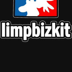 Limpbizkit Premium Pullover Hoodie RB1010 5 - Limp Bizkit Merch artwork Offical limpbizkit Merch