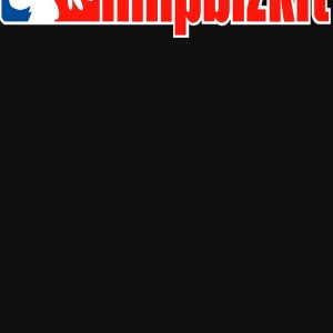 artwork Offical limpbizkit Merch
