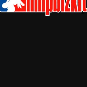 artwork Offical limpbizkit Merch
