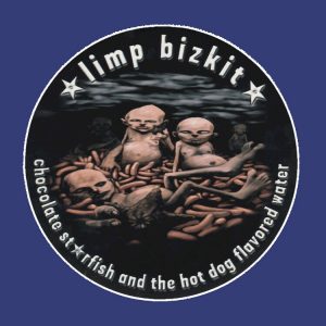 Limited Edition Logo Limpbizkit Pullover Hoodie RB1010 5 - Limp Bizkit Merch artwork Offical limpbizkit Merch