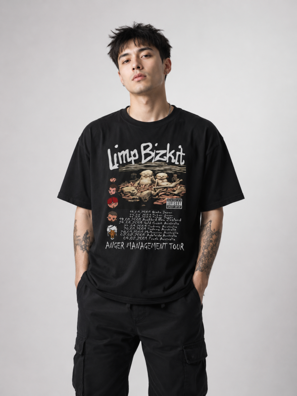 Vintage Fan Limp Bizkit Classic T-Shirt | Limp Bizkit Merch