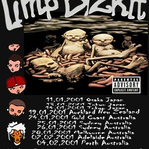 Vintage Fan Limp Bizkit Classic T-Shirt 5 - Limp Bizkit Merch raf750x1000075t10101001c5ca2 2 - Limp Bizkit Merch