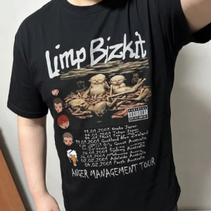Vintage Fan Limp Bizkit Classic T-Shirt photo review