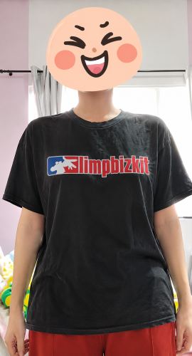 Limp bizkit rapcore logo Essential T-Shirt RB1211 photo review