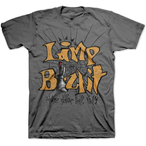Limp Bizkit 3 Dollar Bill Grey DTNK0801 T-Shirt