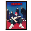 Limp Bizkit Poster – Artistic Music Illustration NTAN2702