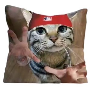 Rock L-Limp B-Bizkit Band Throw Pillow NTAN0804