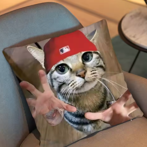 Rock L-Limp B-Bizkit Band Throw Pillow NTAN0804 5 - Limp Bizkit Merch image remove background Nhi 2026 04 09T020254.737 - Limp Bizkit Merch