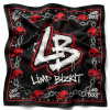 [Exclusive Release] The Iconic Red Cap & Nu-Metal Nuance Limp Bizkit Bandana