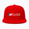 Limp Bizkit Snapback – Logo Trucker HTCT2007 Cap