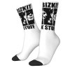Limp Bizkit Break Stuff Socks